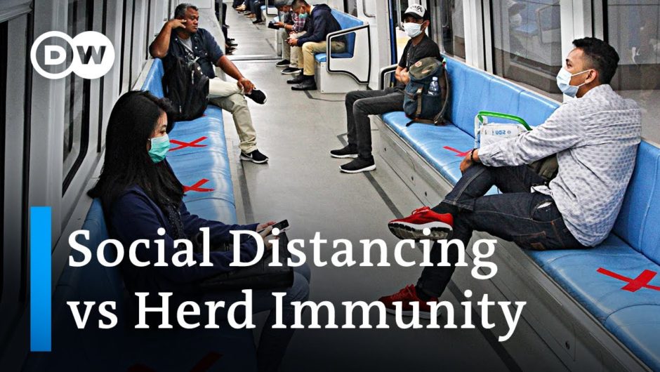 Can controlled 'herd immunity' be an alternative to social distancing? | Coronavirus Analysis