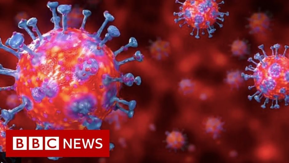 Coronavirus: deaths rates double to highest in 20 years – BBC News