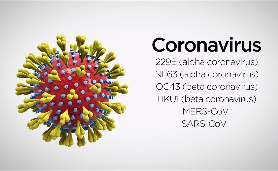coronavirus OC43