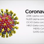 Did you have Covid-19 before the main outbreak in February 2020?