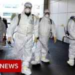 Coronavirus: South Korea has seen its confirmed cases spike – BBC News