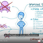 How our Immune system works.