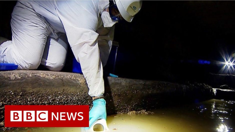 Coronavirus: Tracking new outbreaks in the sewers – BBC News