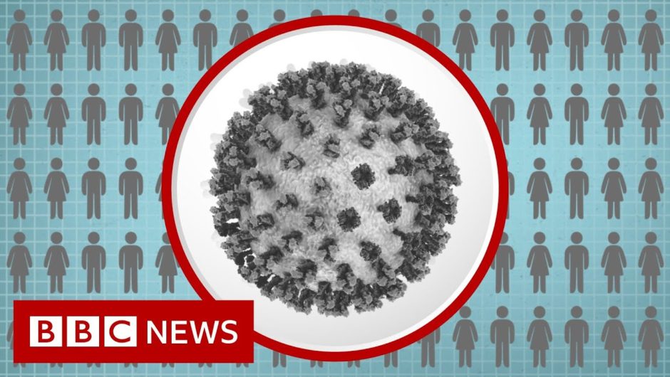Coronavirus: How many more people are dying? – BBC News