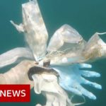 Coronavirus protection kit pollutes French coast – BBC News