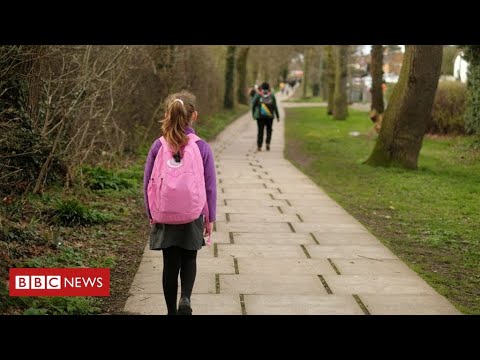 Coronavirus: govt promises caution over schools re-opening plan – BBC News