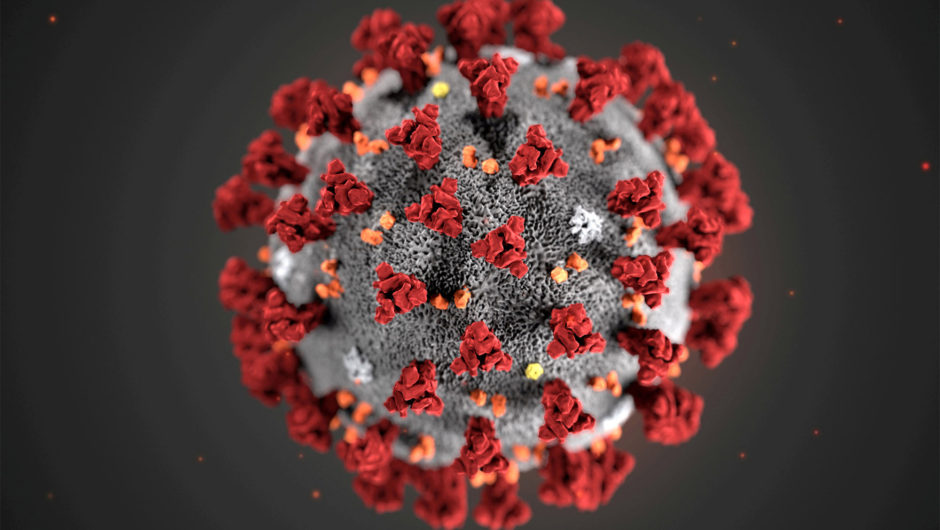 Seven new highly-contagious COVID-19 variants found across US