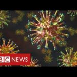 New mutated coronavirus from South Africa is "highly concerning" – BBC News