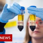 Coronavirus: When can I get the COVID-19 vaccine? – BBC News