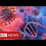 Major study suggests rise in coronavirus cases may be slowing in England – BBC News