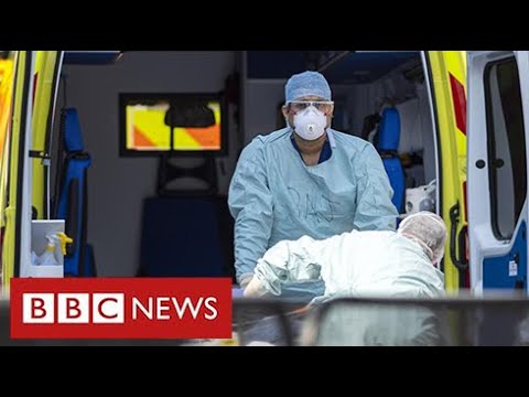 England had worst excess death rate in Europe between March and June – BBC News