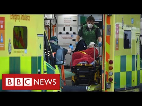 80,000 Covid deaths in UK as scientists call for stricter lockdown – BBC News