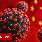 The Covid-19 disinformation tactics used by China – BBC News